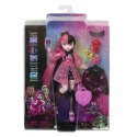 Lalka Monster High HHK51 przegubowy