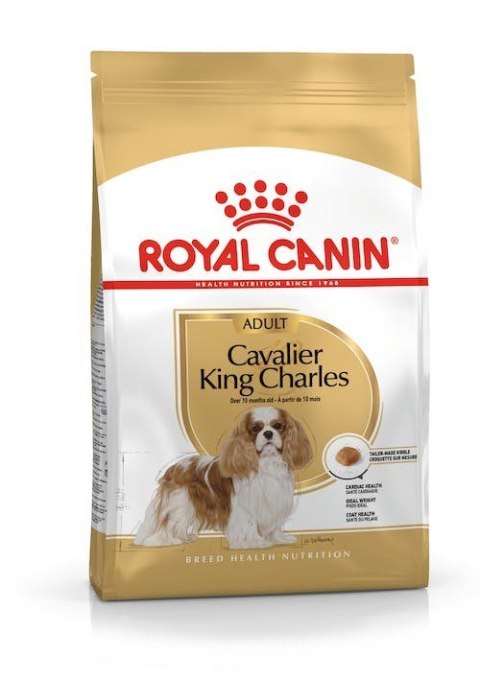 ROYAL CANIN BHN Cavalier King Charles Spaniel Adult - sucha karma dla psa dorosłego - 1,5kg