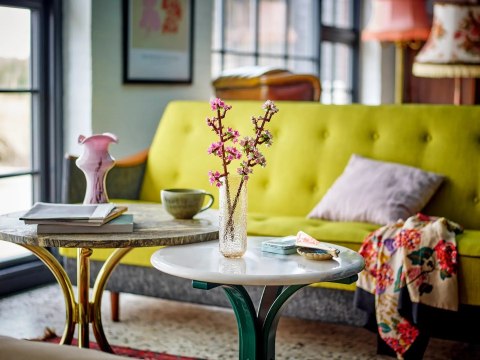 LEGO Botanicals 40725 - Kwiaty wiśni