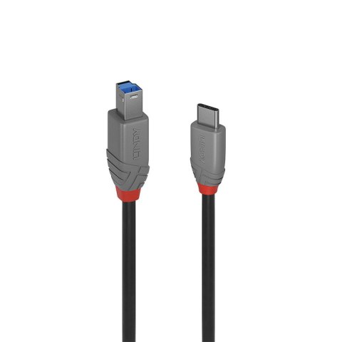 Kabel USB-C na USB B LINDY 36666 1 m