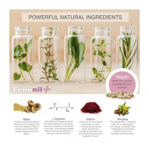 Krem Przeciwstarzeniowy 500 Cosmetics 30 Sztuk