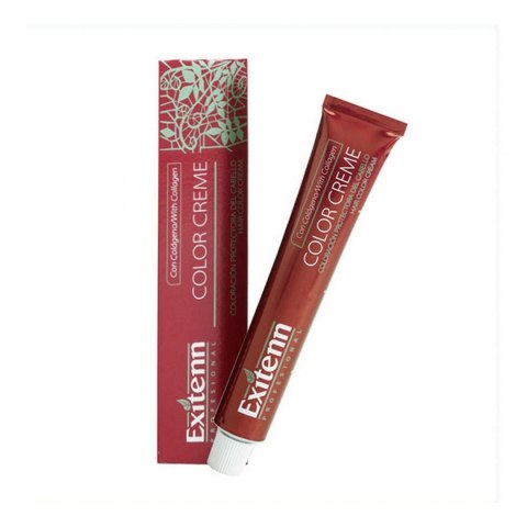 Trwała Koloryzacja Color Creme Exitenn Nº 472 Medium Choco Brown (60 ml)