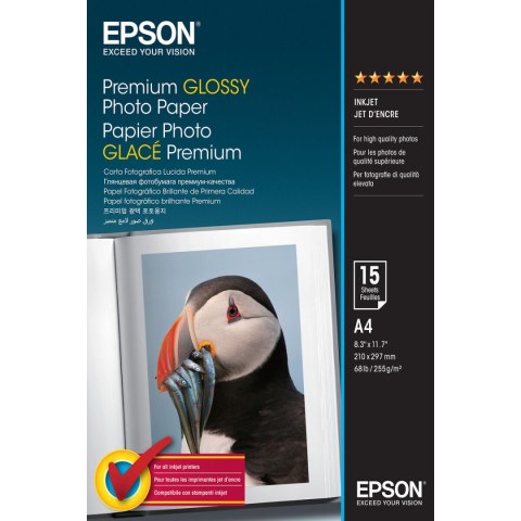 Błyszczący Papier Fotograficzny Epson 235B591 A4 (1 Sztuk)