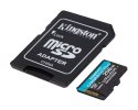 Karta microSD 256GB Canvas Go Plus 170/90MB/s