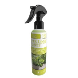 Odświeżacz Powietrza w Sprayu Paradise Scents PER70027 Citronella 200 ml