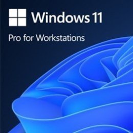 OEM Win Pro for Wrkstns 11 PL x64 HZV-00117