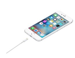 Przewód ze złącza Lightning na USB (1 m)