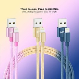 Kabel Lightning NANOCABLE 10.10.0401-CO2 1 m