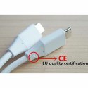 Kabel USB C Apple MLL82ZM/A 2 m Biały