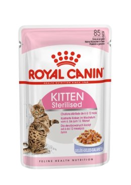 ROYAL CANIN FHN Kitten Sterilised w galaretce - mokra karma dla kociąt - 12x85g