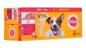 PEDIGREE PEDIGREE Vital Protection Adult Mix Smaków w galaretce - mokra karma dla dorosłych psów - 40 x 100 g