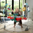 Centrum aktywności Baby Einstein Ocean Explorers