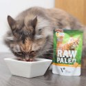 VetExpert Raw Paleo adult cat - Indyk saszetka 100g