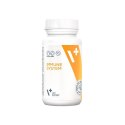 VetExpert Immune system (30 kaps.Toff)