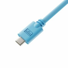 Kabel USB A na USB-C Newskill Niebieski