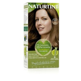 Trwała Koloryzacja Naturtint Naturtint 6.31 marrón almendra intenso Bez amoniaku (170 ml)