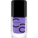 Lakier do paznokci Catrice Iconails Nº 162 Plummy Yummy 10,5 ml