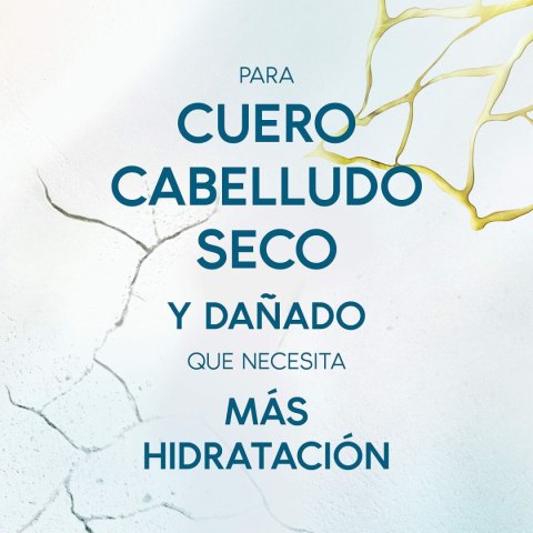 Płyn kojący Head & Shoulders H&S Derma X Pro 145 ml