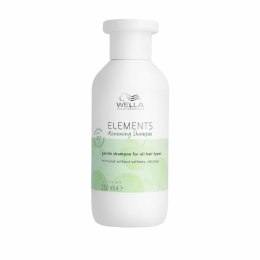 Szampon Wella Elements 250 ml