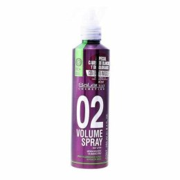 Spray nadający Objętość Root Lifter Salerm (250 ml)