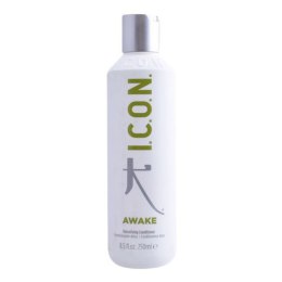 Odżywcza Odżywka Detoxifying I.c.o.n. - 1000 ml