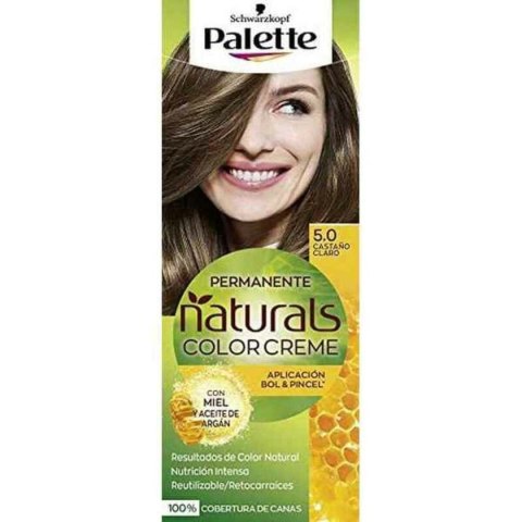 Trwała Koloryzacja Palette Natural Schwarzkopf - 1.1 - czarno-niebieskawy