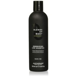 Szampon Alfaparf Milano 250 ml Unisex