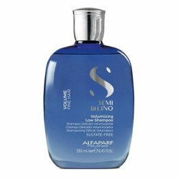 Szampon Alfaparf Milano Semi Di Lino Volume 200 ml