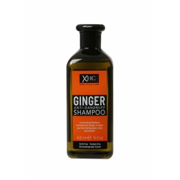 Szampon Przeciwłupieżowy Xpel Ginger 400 ml