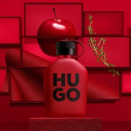 Perfumy Męskie Hugo Boss Intense EDP