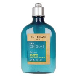 Żel pod Prysznic L'Occitane En Provence 20GD250HC20 250 ml