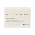 Krem na Noc Mizon Phyto Plump Collagen