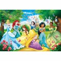 Puzzle dla dzieci Clementoni Disney Princess 26471 60 Części