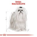 ROYAL CANIN BHN Maltese Adult - sucha karma dla psa dorosłego - 1,5kg