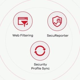 Firewall Zyxel USGFLEX50 1xWAN 4xLAN SPI firewall: 350 Mbps Max. IPsec VPN: 20