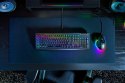 Razer BlackWidow V4 X klawiatura Gaming USB QWERTY Skandynawia Czarny