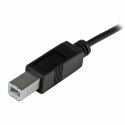 Kabel USB C na USB B Startech USB2CB2M (2 m) Czarny