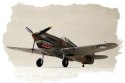 Model plastikowy P-40B/C Hawk- 81