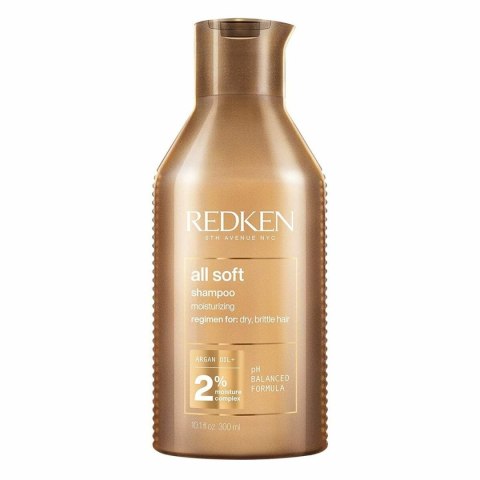 Szampon Nawilżający Redken 3474636919987 300 ml