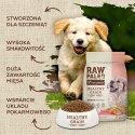 VetExpert Raw Paleo Healthy Grain Salmon&Barley Puppy - Karma sucha dla psów - 10kg