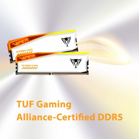 Pamięć DDR5 Viper Elite 5 RGB TUF 32GB/6600 (2x16GB) CL34