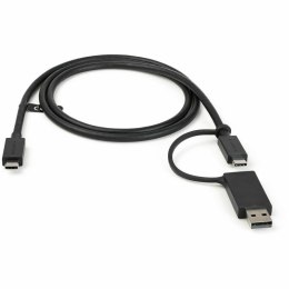 Kabel USB-C do USB Startech USBCCADP Czarny Wielokolorowy 1 m