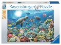 Puzzle 5000 elementów Głębia Oceanu