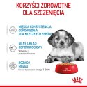 ROYAL CANIN SHN Medium Puppy w sosie - mokra karma dla szczeniąt - 10X140g