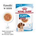 ROYAL CANIN SHN Medium Puppy w sosie - mokra karma dla szczeniąt - 10X140g