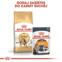 ROYAL CANIN Bengal Adult - sucha karma dla dorosłego kota - 2 kg