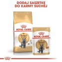 ROYAL CANIN FBN British Shorthair Adult - sucha karma dla dorosłego kota - 2kg