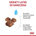 ROYAL CANIN FHN Mother&Babycat - sucha karma dla kociąt - 4kg