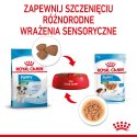 ROYAL CANIN SHN Mini Puppy w sosie - mokra karma dla szczeniąt - 12X85 g