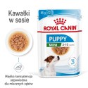 ROYAL CANIN SHN Mini Puppy w sosie - mokra karma dla szczeniąt - 12X85 g